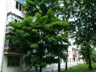 14 корпус 1 фото 2