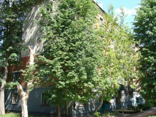 Максимова фото 1 Чебоксары