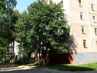 Бульвар Гидростроителей фото 1 Новочебоксарск