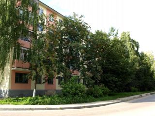 Коммунистическая фото 15 Новочебоксарск