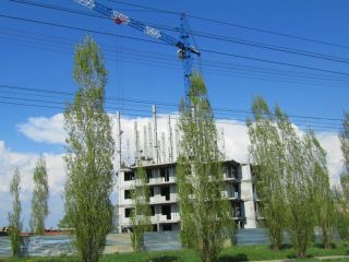 позиция 1-2 фото 3