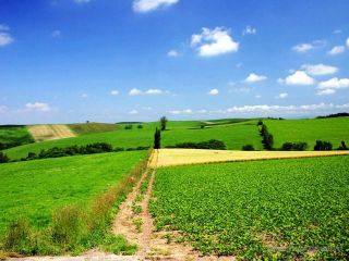 Земельные участки семьям фото 