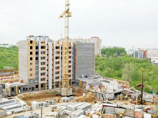 позиция 24 фото 11