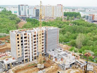 позиция 24 фото 13