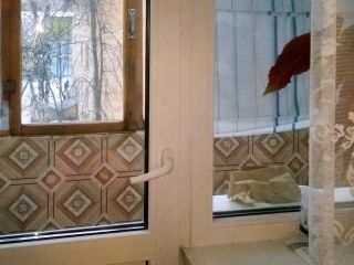 Продаю однушку срочно хорошее состояние фото 4 Тверь