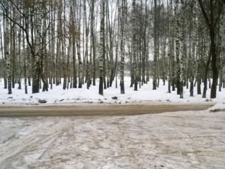 Продаю однушку срочно хорошее состояние фото 10 Тверь