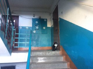 Продаю 2 комнатную квартиру с мебелью в отличном состоянии фото 15 Тверь