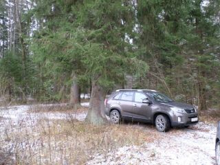 Продаю участок земли документы на руках красивый фото 3 Обнинск