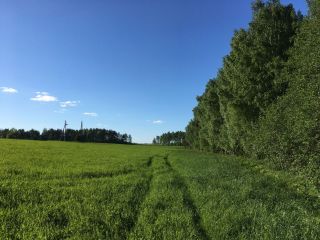 Продается зем участок под индивидуальное жилищное строительство рядом река фото 4 Киржач