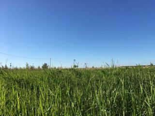 Продается зем участок под индивидуальное жилищное строительство рядом река фото 9 Киржач