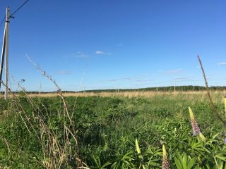 Продается зем участок под индивидуальное жилищное строительство рядом река фото 10 Киржач