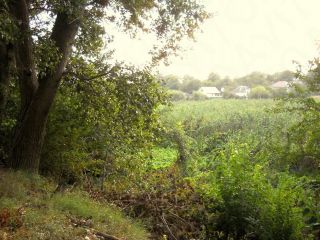 Продам кирпичный дом с коммуникациями подключена канализация фото 5 Анапа