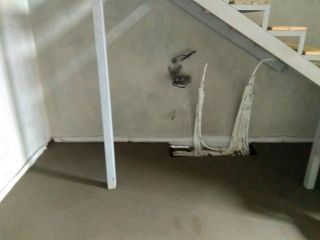 Продам кирпичный дом имеется скважина фото 12 Анапа