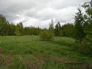 Продаю земельный участок под индивидуальное жилищное строительство с коммуникациями фото 5 Кимры