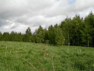 Продаю земельный участок под индивидуальное жилищное строительство с коммуникациями фото 8 Кимры