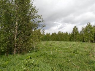 Продаю земельный участок под индивидуальное жилищное строительство с коммуникациями фото 9 Кимры