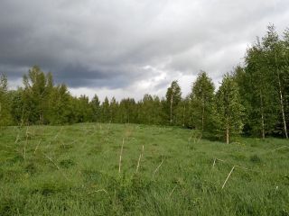 Продаю земельный участок под индивидуальное жилищное строительство с коммуникациями фото Кимры