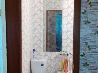 Продаю двушку взрослый собственник установлены пластиковые окна фото 7 Новоалтайск