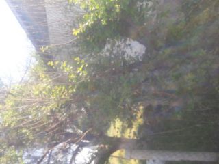 Продам деревянный дом документы готовы своя скважина фото 2 Краснослободск