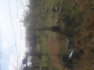 Продам деревянный дом документы готовы своя скважина фото 3 Краснослободск