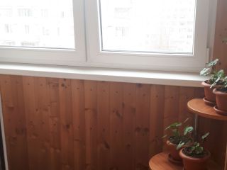 Продам трехкомнатную квартиру в отличном состоянии пластиковые окна фото 8 Белгород