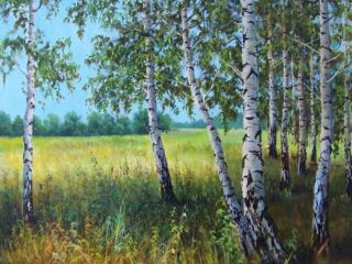 Продается участок земли фото Ясногорск