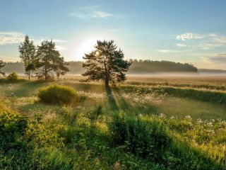 Продается зем участок фото Ясногорск