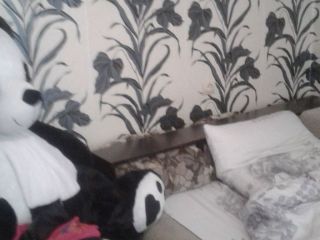 Продам кирпичный дом есть баня торг уместен фото 8 Севастополь