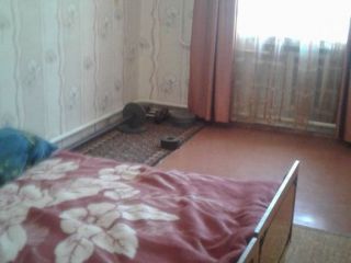 Продам кирпичный дом есть баня торг уместен фото 21 Севастополь