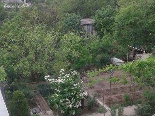 Продам кирпичный дом есть баня торг уместен фото 27 Севастополь