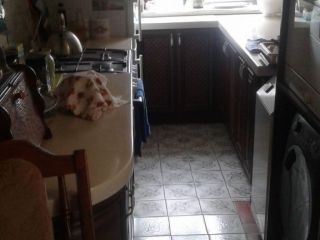 Продам кирпичный дом есть баня торг уместен фото 29 Севастополь