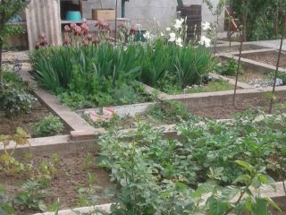 Продам кирпичный дом есть баня торг уместен фото 36 Севастополь