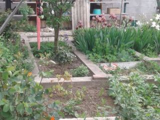 Продам кирпичный дом есть баня торг уместен фото 37 Севастополь