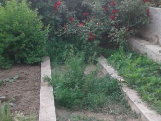 Продам кирпичный дом есть баня торг уместен фото 39 Севастополь