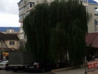 Продается 1 комн. квартира панорамные окна с газовым отоплением фото 5 Сочи