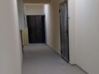 Продам студию фото 5 Краснодар