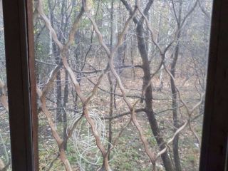 Продам 2 комнатную квартиру установлены натяжные потолки с мебелью фото 8 Димитровград