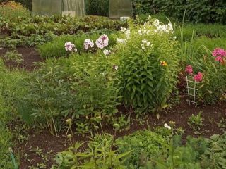 Продам участок земли своя скважина под индивидуальное жилищное строительство фото 2 Пермь