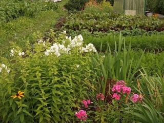 Продам участок земли своя скважина под индивидуальное жилищное строительство фото 3 Пермь