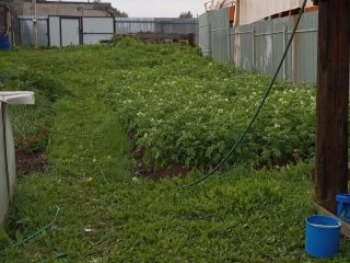 Продам участок земли своя скважина под индивидуальное жилищное строительство фото 4 Пермь