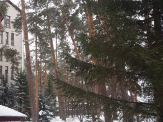 Продам двухкомнатную квартиру торг уместен кирпичный фото 15 Барнаул