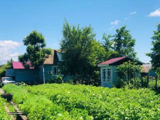 Продается кирпичный дом подключена канализация с плодоносящим садом фото 2 Лесозаводск