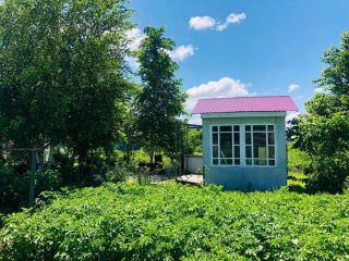 Продается кирпичный дом подключена канализация с плодоносящим садом фото 5 Лесозаводск