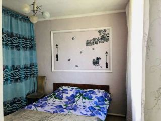 Продается кирпичный дом подключена канализация с плодоносящим садом фото 12 Лесозаводск