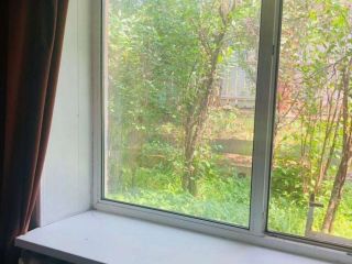 Продается панельный дом с плодоносящим садом документы готовы фото 11 Лесозаводск