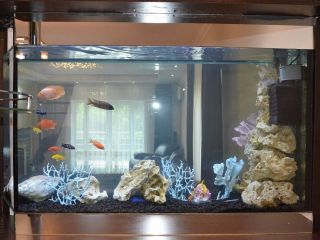 Продаю монолитный дом с газовым отоплением подключена канализация фото 11 Севастополь