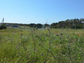 Продается земельный участок рядом асфальт фото 9 Севастополь