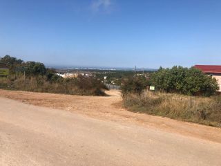 Продаю зем участок асфальтная дорога фото 11 Севастополь