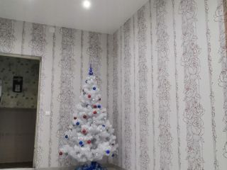 Продается трехкомнатная квартира пластиковые окна со всеми удобствами фото 13 Архангельск