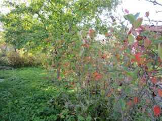 Продам кирпичный дом имеется охрана в садовом некоммерческом товариществе фото 11 Конаково